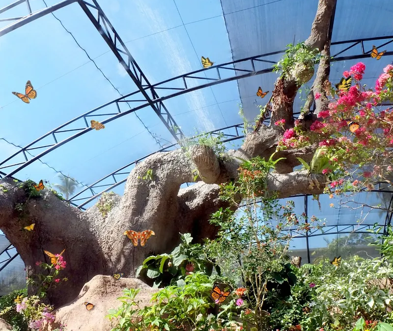 Butterfly Park