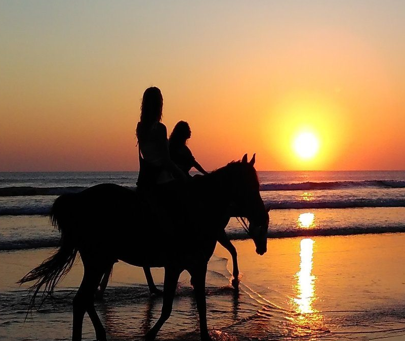 Bali Horse Riding