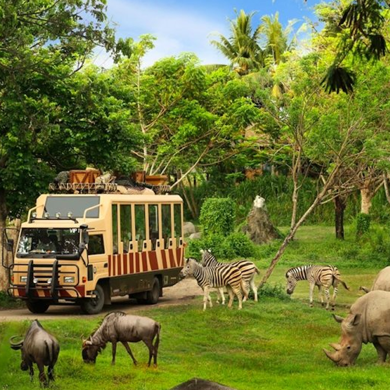 bali safari