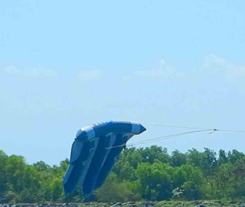 Fly Fish