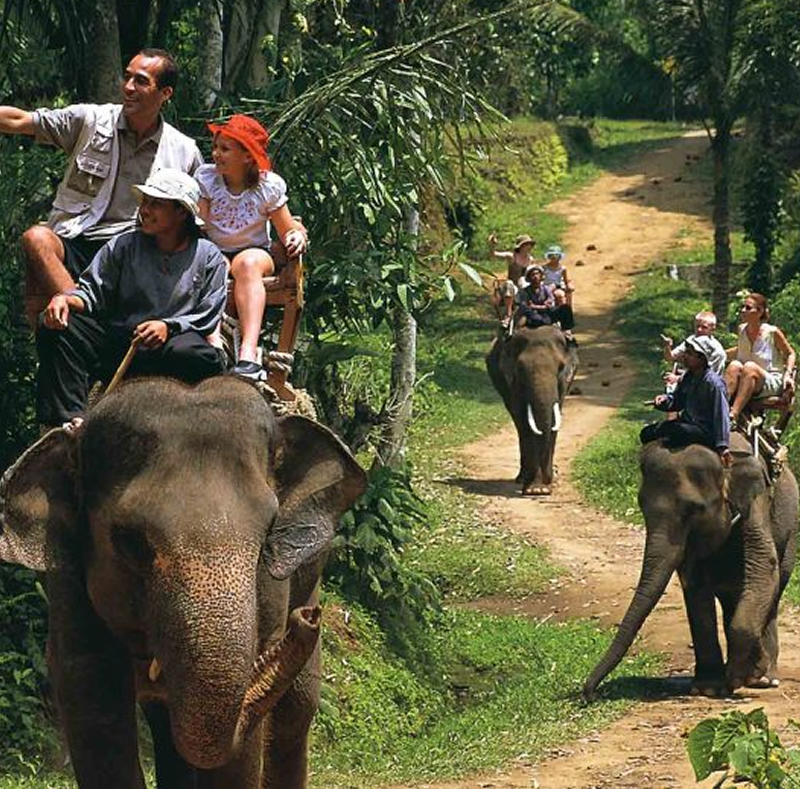riding an elephant