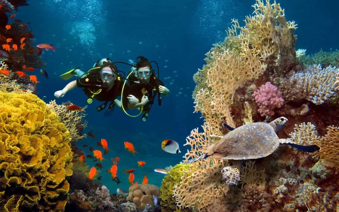 Bali Diving