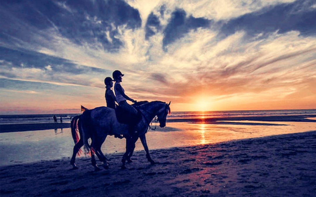 Bali Horse Riding